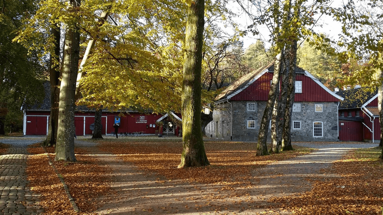 Foto: Naturmuseum og botanisk hage, Universitetet i Agder