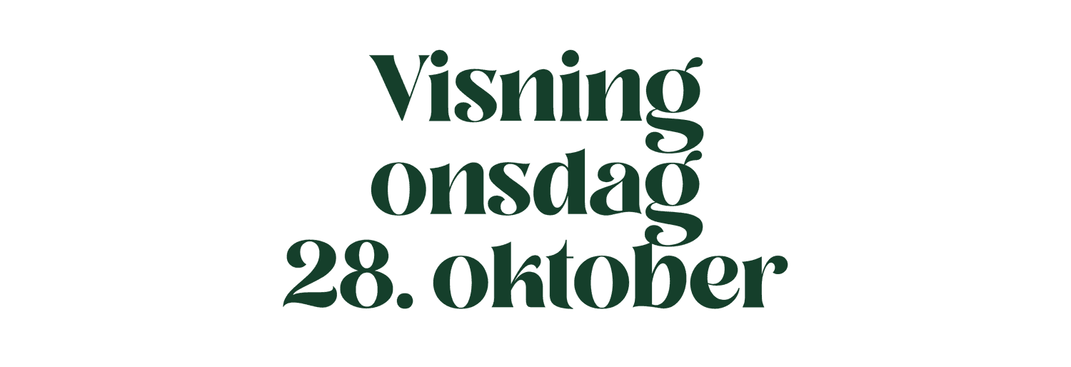 Et bilde som er lagt til i innlegget.